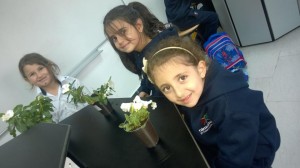 Planting class