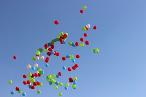 IMG_8525